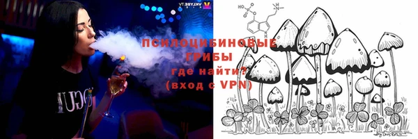 хмурый Богородск