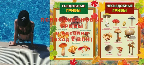 ALPHA PVP Богородицк