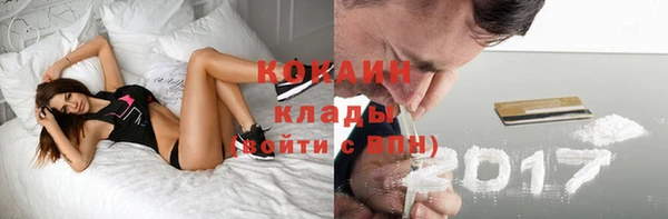 ALPHA PVP Богородицк