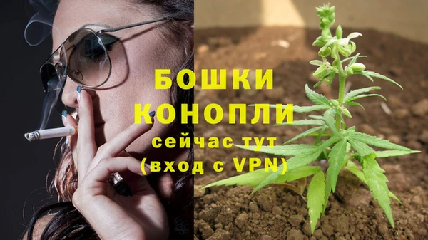 хмурый Богородск