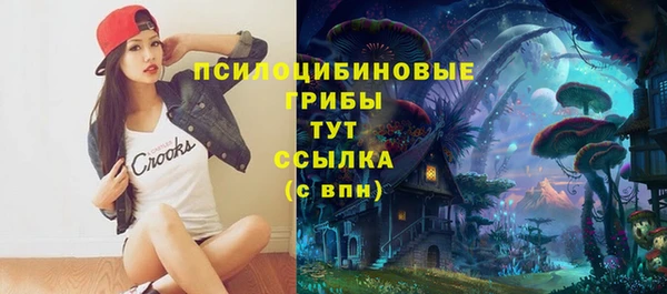 ALPHA PVP Богородицк